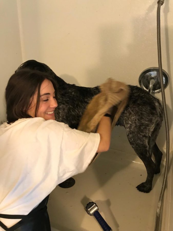 Hallie washes and dries her dog.