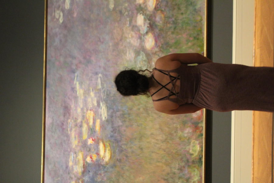 Sophomore Melana Quarles visits the Saint Louis Art Museum for inspiration. 