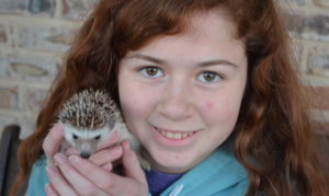 Kylie Hale has had Thistle, her hedgehog, for about two and a half years and while it’s difficult to care for him sometimes, she enjoys looking back at the funny moments she’s had with him.
