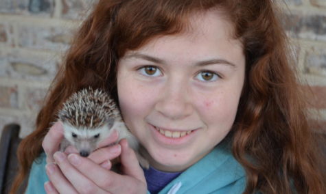 Kylie Hale has had Thistle, her hedgehog, for about two and a half years and while it’s difficult to care for him sometimes, she enjoys looking back at the funny moments she’s had with him.