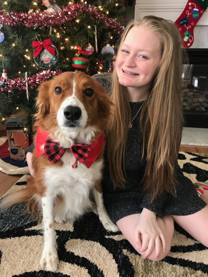 Gracie Pupillo and her dog Harley together before Christmas. 