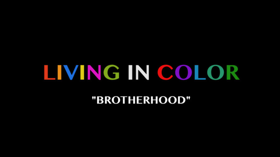 Living+In+Color%3A+Brotherhood