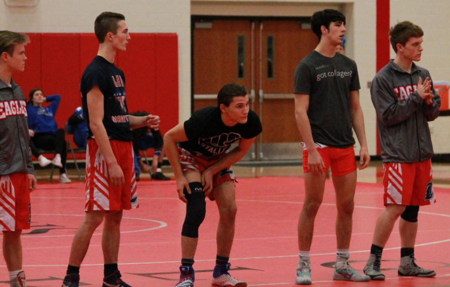The Liberty wrestlers compete this weekend at districts for a chance to qualify for the state tournament. 
