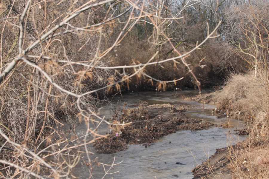 Coldwater Creek is not only contaminated with toxic chemicals, it is also filled with sewage overflow and is littered with overwhelming amounts of garbage.