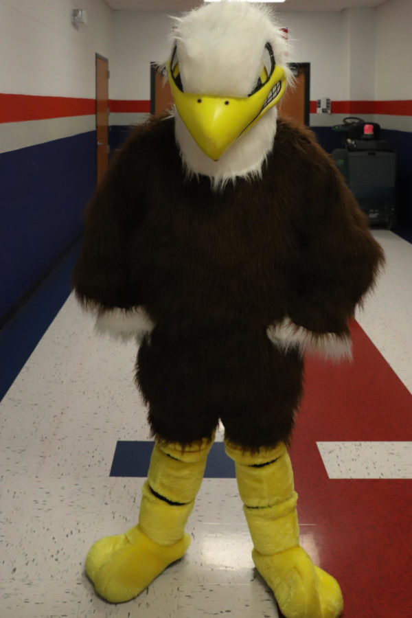 Eddie the Eagle will not be the only mascot next school year.
