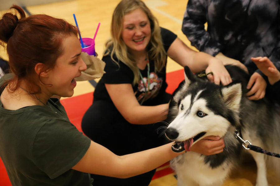 Brianna Reddick (10) and Rylee Peanick (10) meet Blue, one of the therapy dogs at the De-Stress Event. 