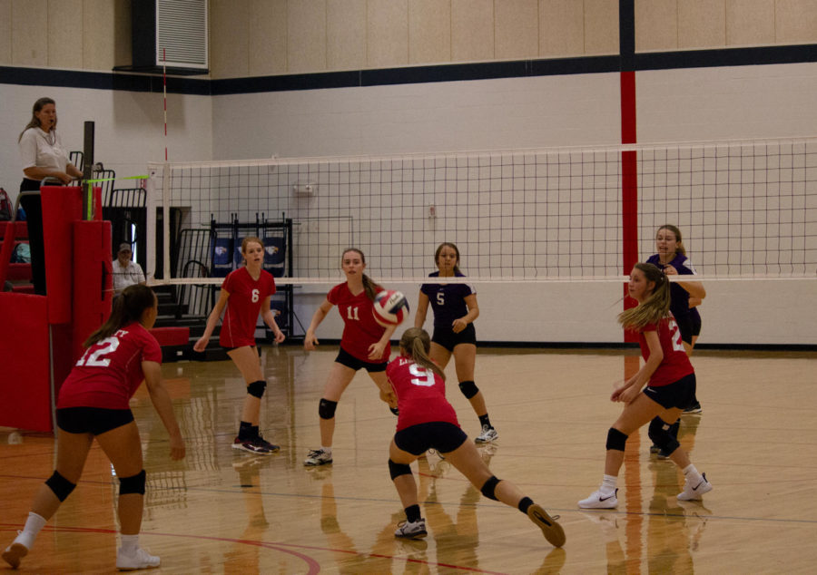 Ada Nelson (9) goes in for a dig against Troy.