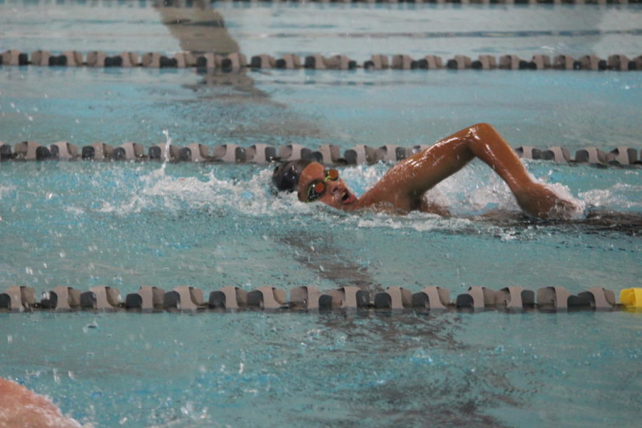 Jaden Zelidon swims his fourth lap against two Fort Zumwalt North competitors