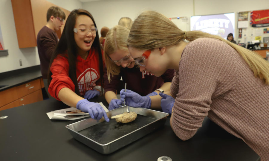 The PLTW Human Body Systems Class dissects sheeps' brains. This helps students to experience the structure of the brain in a hands-on way. 