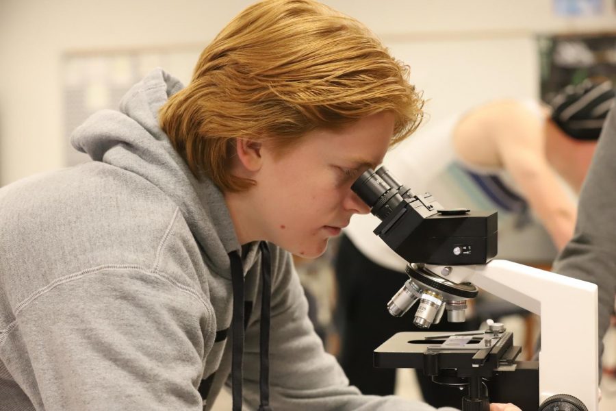 Braden Bond (11) looks through a microscope during a lab in his Medical Interventions class.
