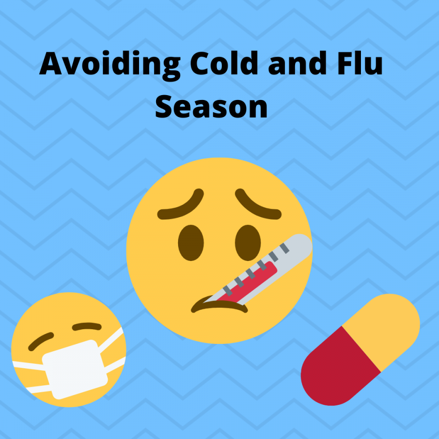 battling-cold-and-flu-season-lhstoday