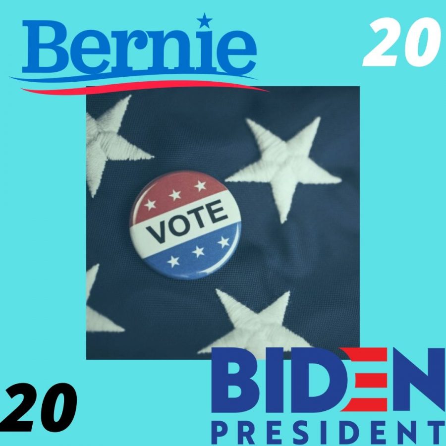 Bernie+Sanders+and+Joe+Biden+are+two+Democratic+candidates+who+have+received+the+most+momentum+behind+their+campaigns.
