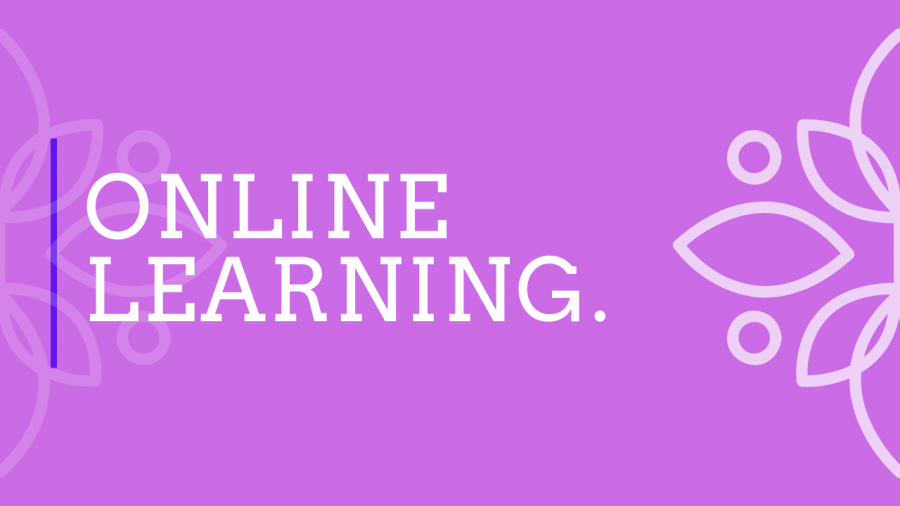 The Wentzville School District Introduced Online Learning as a way to continue schooling while home-bound.