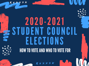 Student council elections and campaigns have gone online.