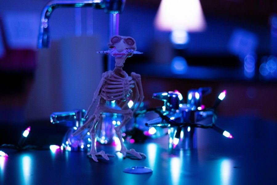 Mr. Range's room was one of the more festive classrooms with Halloween decorations at Liberty. 
