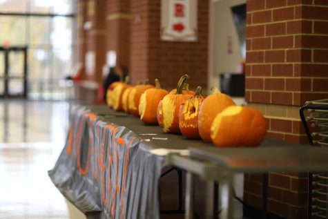 All the contestants pumpkins lined up ready to be judged.  