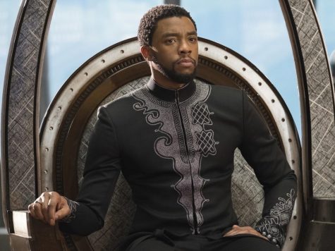 Chadwick Bosemans portrayal of T’Challa the Black Panther is iconic and transcends iteration of the character in any other medium from Marvel’s past.