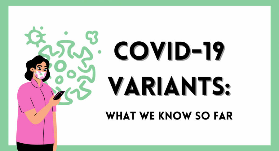 Three new variants of the virus that causes COVID-19 have posed new questions regarding the course of the pandemic.