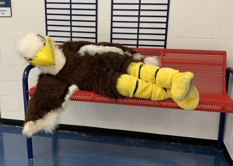 Eddie the Eagle lounges on one of the marvelous Liberty benches.