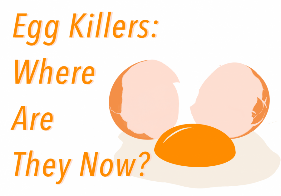 The egg killers may have faded into obscurity, but their crimes remain a terrible memory. 