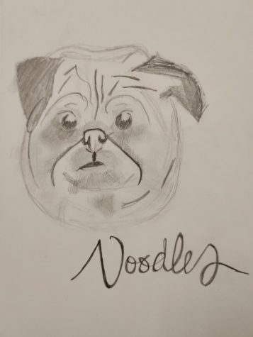 This is Noodles the Pug, the 13-years-old pet that has come to control the outcome of your day.