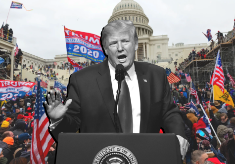 Donald Trump encouraged his supporters to go to the capitol, which lead to many of the events that took place on Jan. 6, 2020.