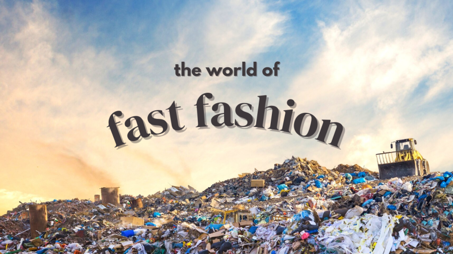 Fast fashion production and consumption only harm the Earth; from disposed clothing wasting away in landfills, to toxic substances polluting the air and oceans.