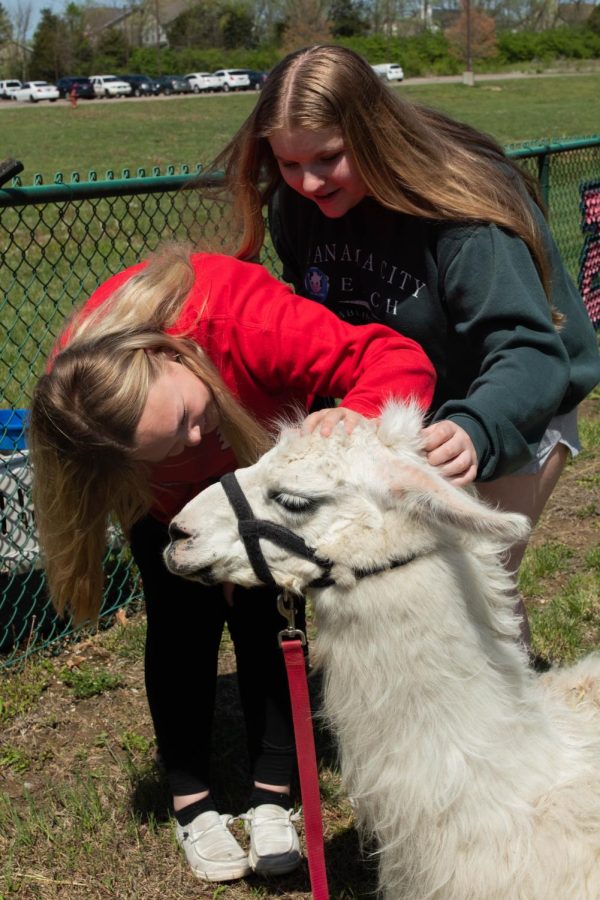 Junior Emma Mulherin and sophomore Kaylin Schwandner pet the llama.