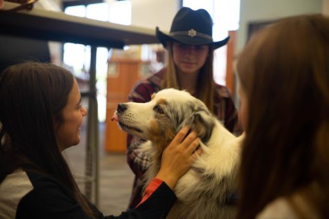(left to right) Lannah Montgomery (10) and Lauren Wiley (10) spend time with Cliff, an Australian Shepherd, at the library on Thursday, Sept. 29.