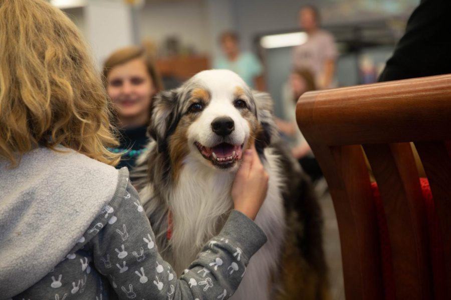 (Left to Right) Noelle Wise (9) and Alyssa Donaldson (9) petting the Australian Shepherd, Cliff, during the therapy dogs visit at the library on Thursday. 