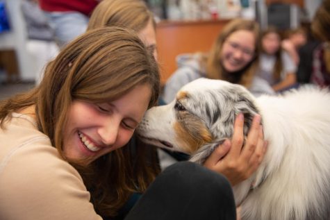 Cliff the therapy dog licking Sophie Hegyi. 