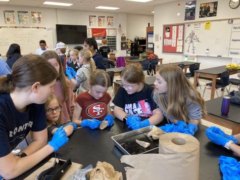 During the beginning of the academy, the students partook in many different stations. Here sophomore Sophia Hegyi walks the kids through a heart dissection as part of one of the stations. 