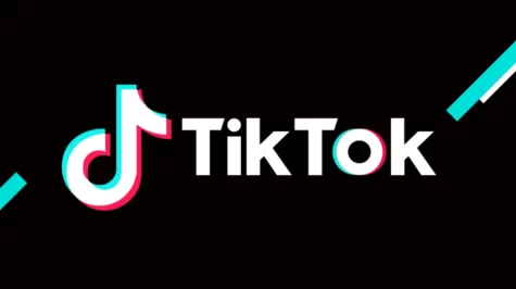 The video-sharing app popular amongst teens, TikTok, has recently been under attack in congress.