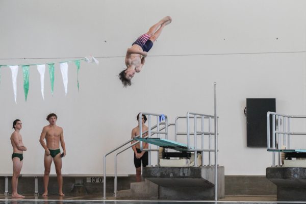 Elijah Quest during one of his dives at the Pattonville meet on Oct. 10.