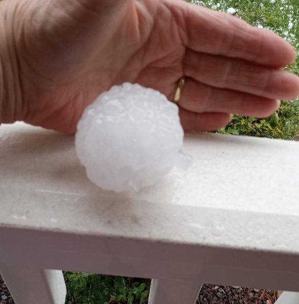 Raymond Hanff shows the size of the hail that struck his home and was littered in his yard. O’Fallon was subject to baseball size hail on Thursday night.