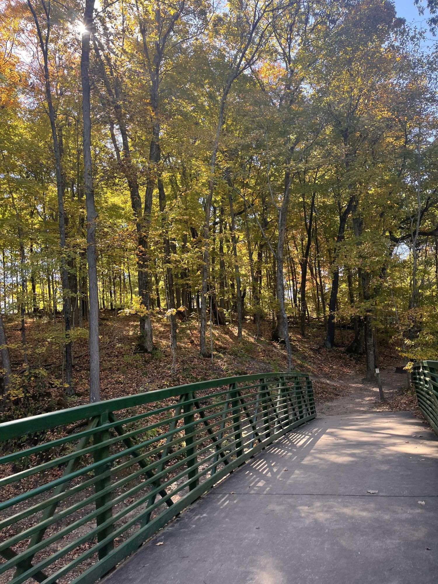 Earth Club recently organized a clean up at Broemmelsiek Park.