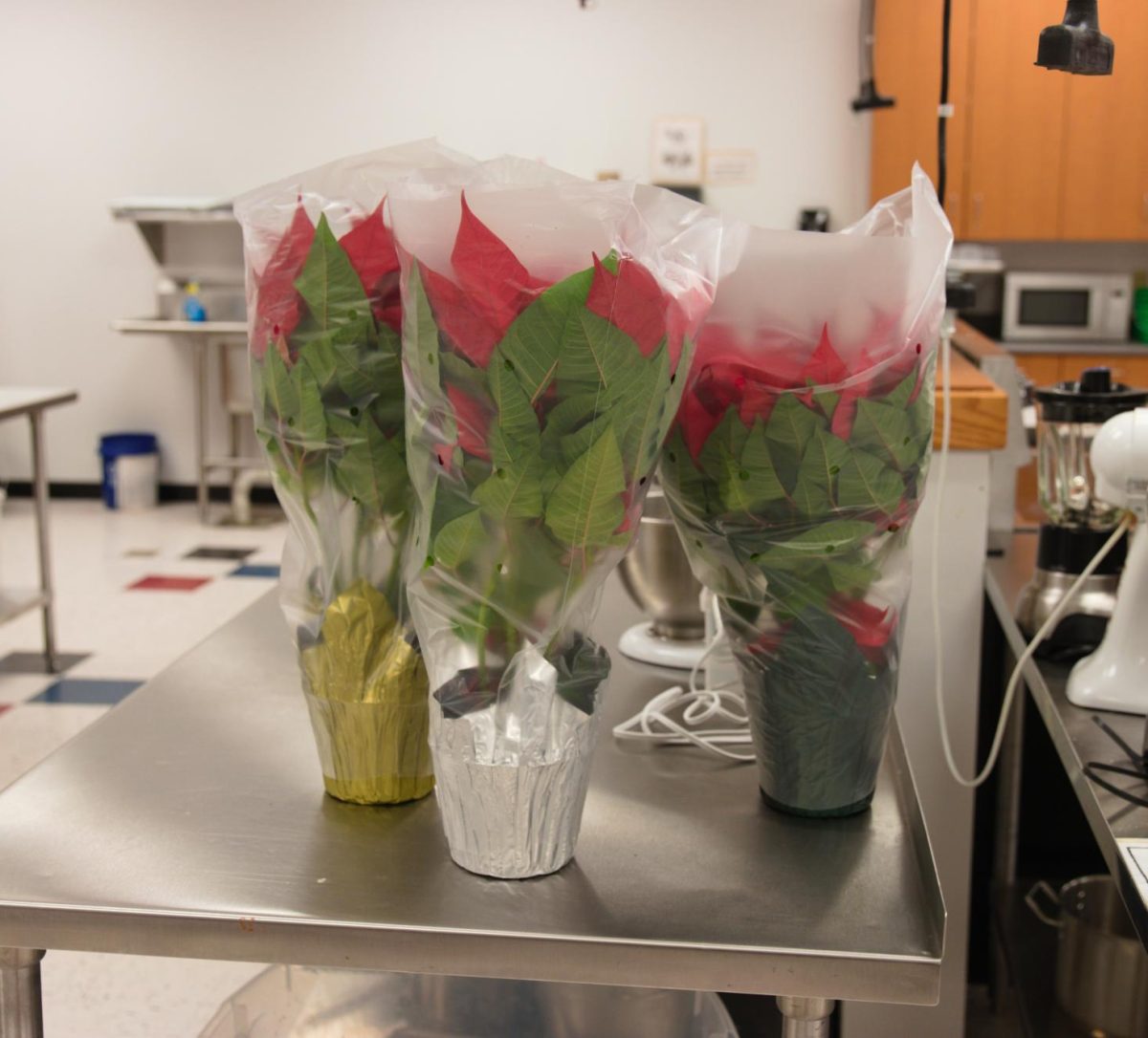 The LHS Garden Club is selling poinsettias for a limited time in room 313.