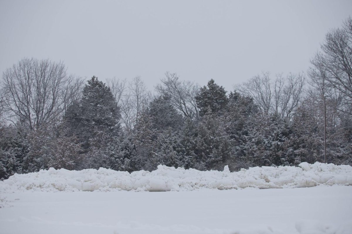 Snow continued to cover roads and trees on Liberty HIgh School property. 