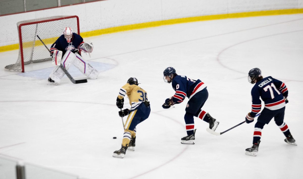 Carson Brassel (11) and Connor Casella (10) chase a Holt player for the puck. 