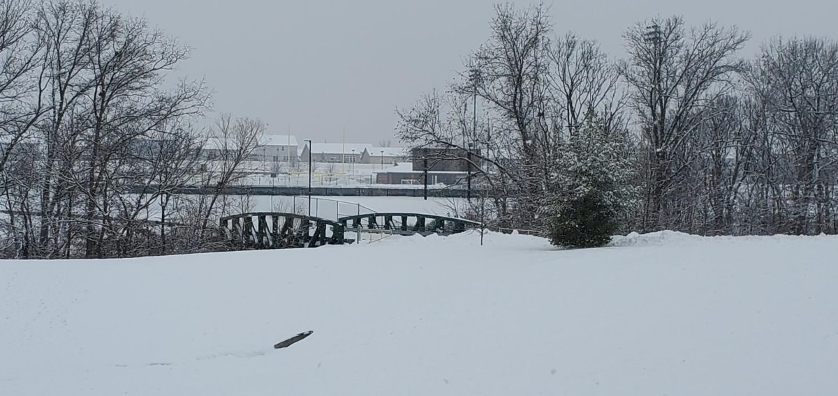 The bridge after close to a foot of snow fell in the Lake Saint Louis area. 