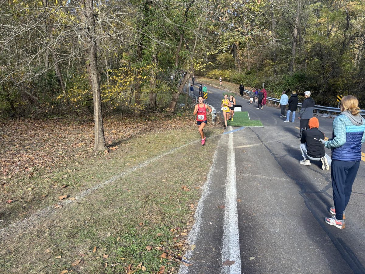 Kailey Lawrence runs down a hill trying to stay in front of her opponents at districts at Sioux Passage.