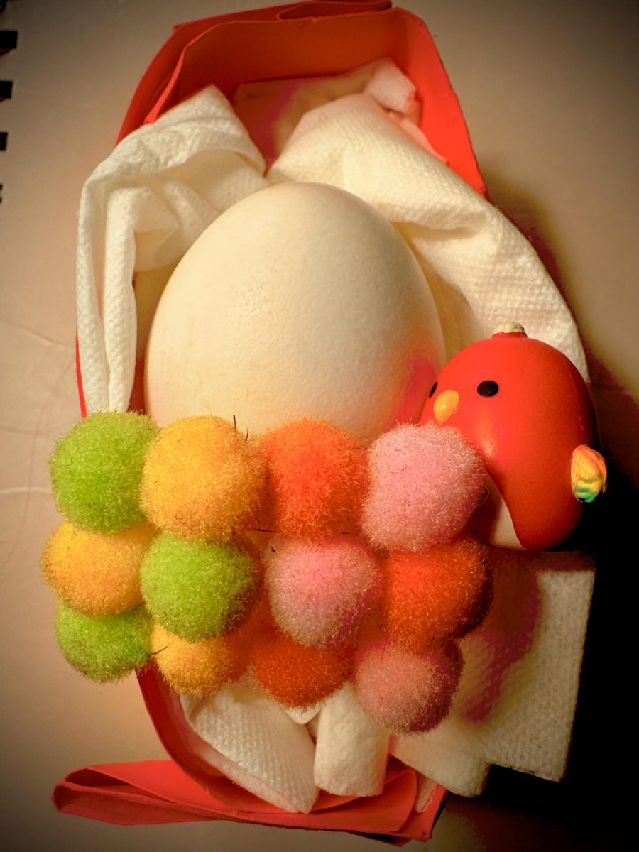 Noelle Wise's egg, Carlos Jr. laying in his bed with a homemade blanket.