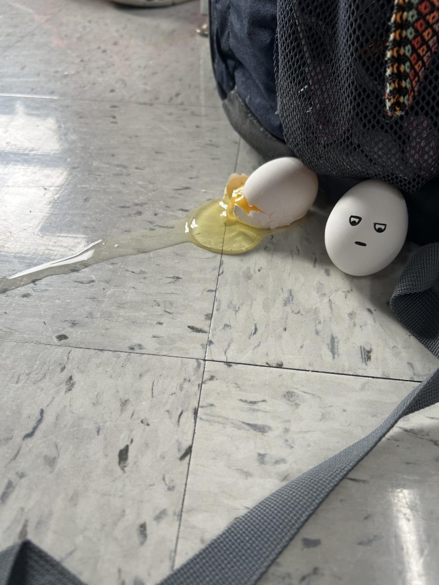 Lorelei Wise's egg, Beggamin Button next to the first broken egg.