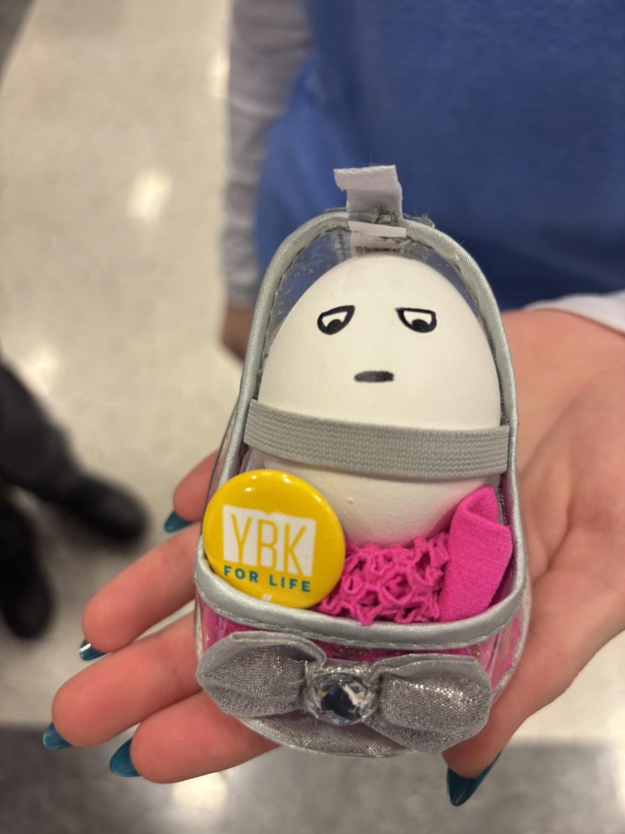 Marley Higlen's egg makes an appearance at 8th grade night and shows off its yearbook swag