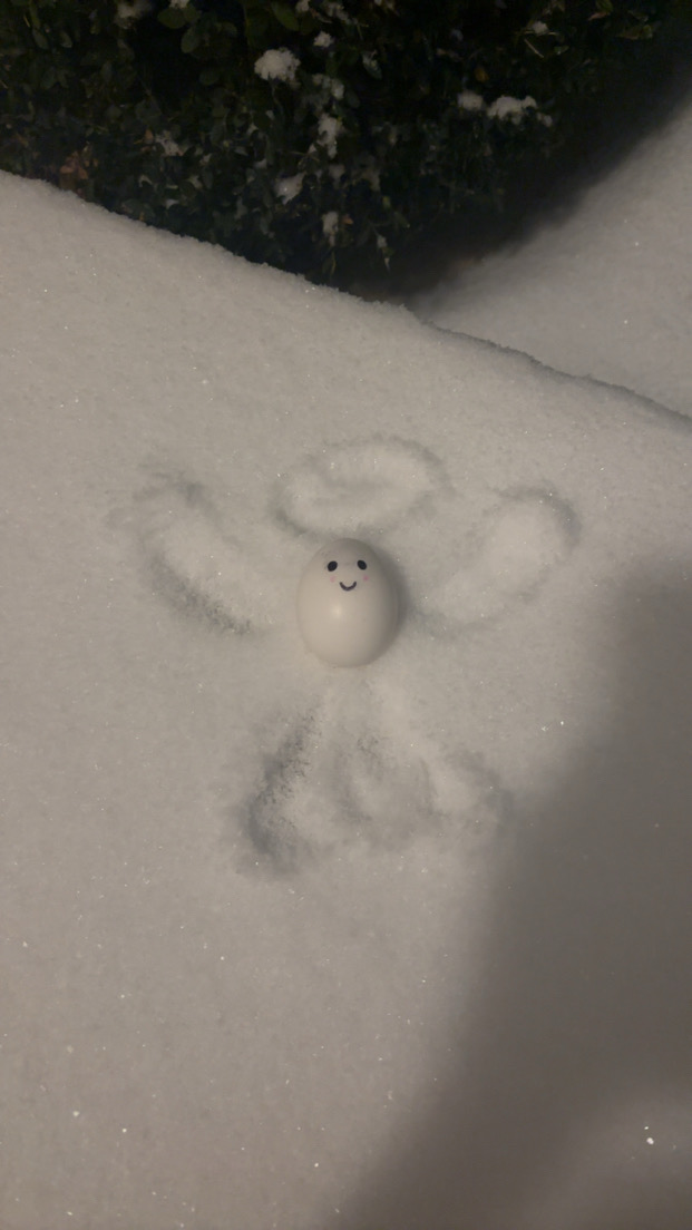 Austin Koehnemann's egg makes angels in the fresh snow.