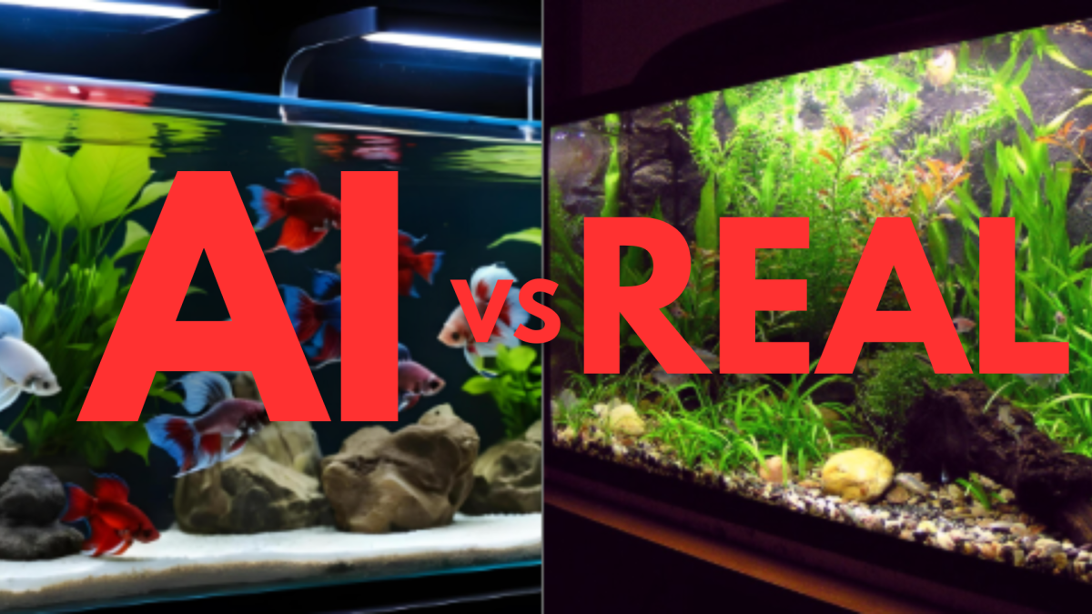 Comparing a real image to one that is an AI generated image.