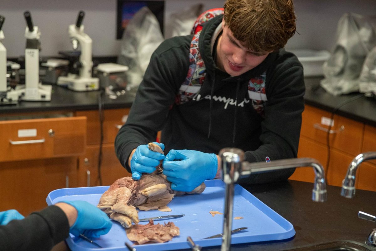 Austin Kelly (12) works to remove the skin from the pig.