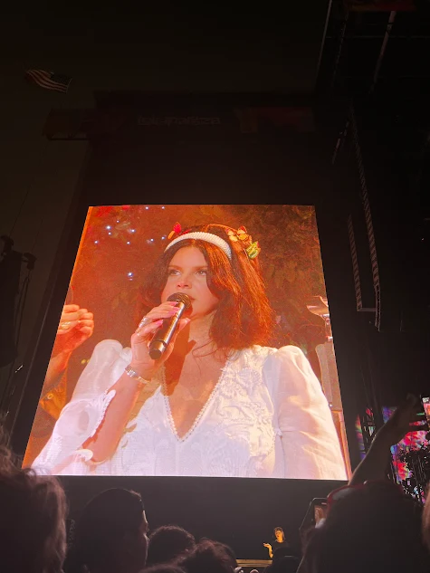 Lana Del Rey performs at Lollapalooza in Chicago in August of 2023. 
